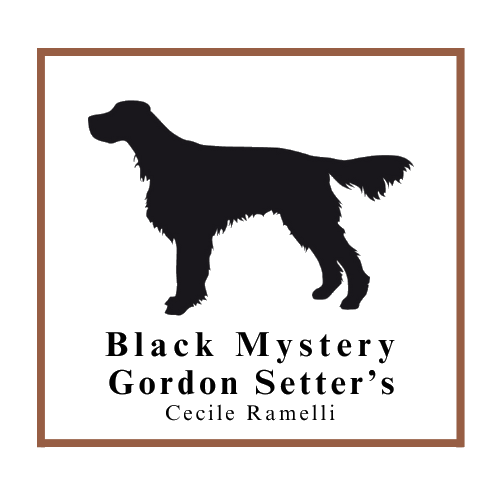 Black Mystery Gordon Setter